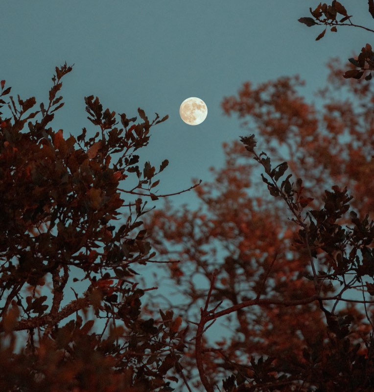 pleine lune