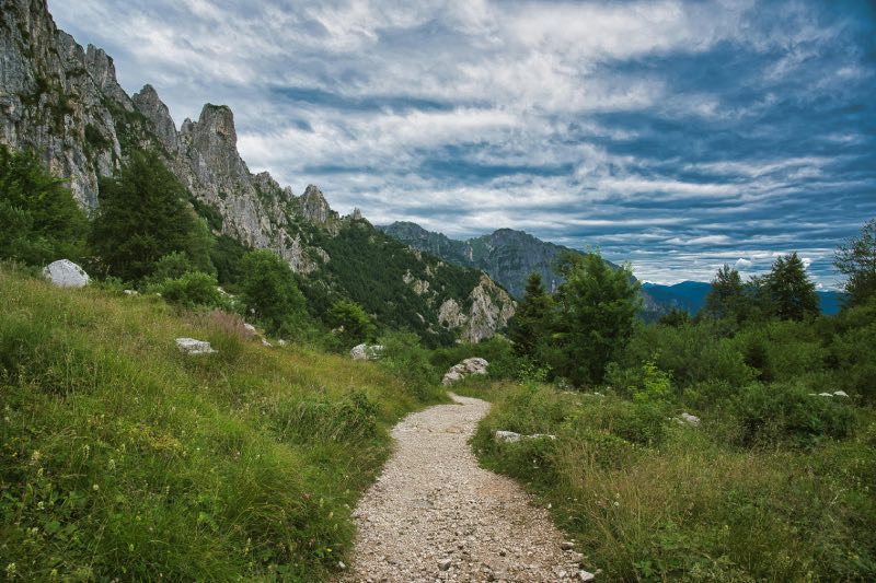 balade dans la nature pour s'ancrer